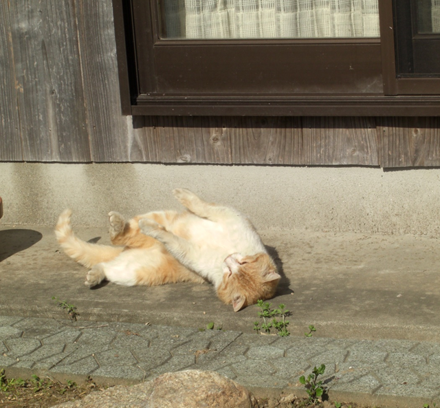 f:id:kaedeya:20200329074906p:plain