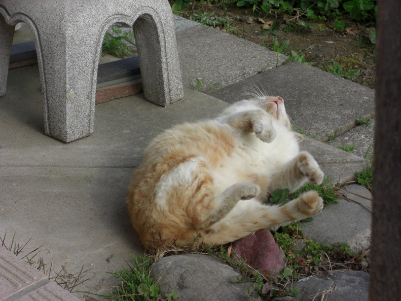 f:id:kaedeya:20200329075237p:plain