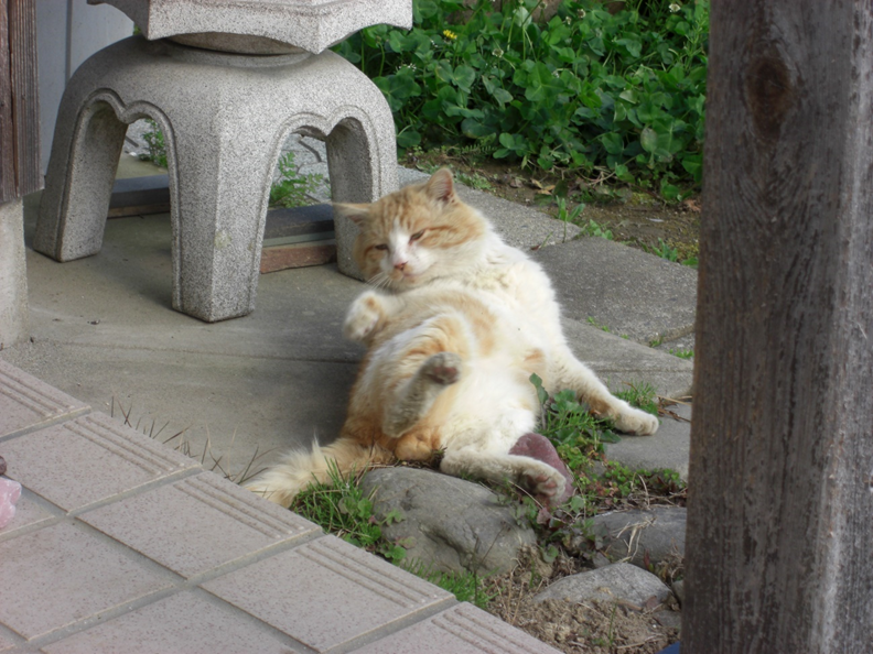 f:id:kaedeya:20200329075320p:plain