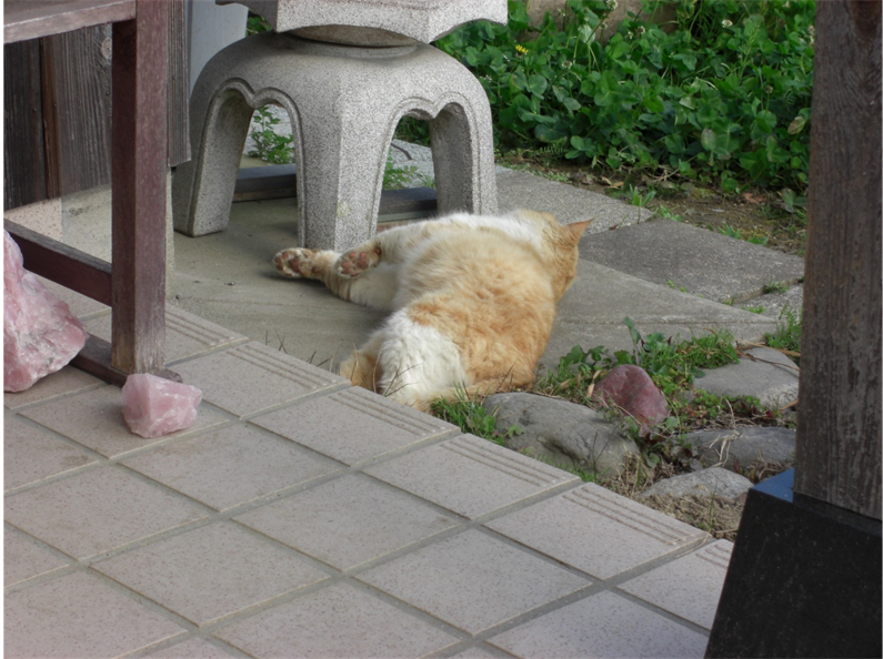 f:id:kaedeya:20200329075416p:plain