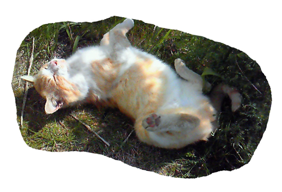 f:id:kaedeya:20200329075638p:plain