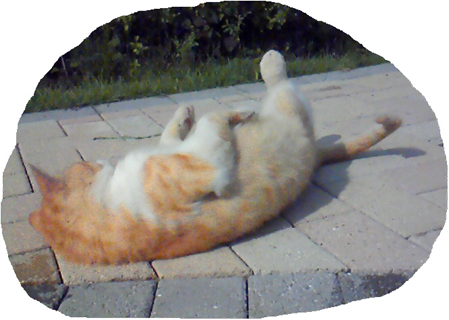 f:id:kaedeya:20200329075726p:plain