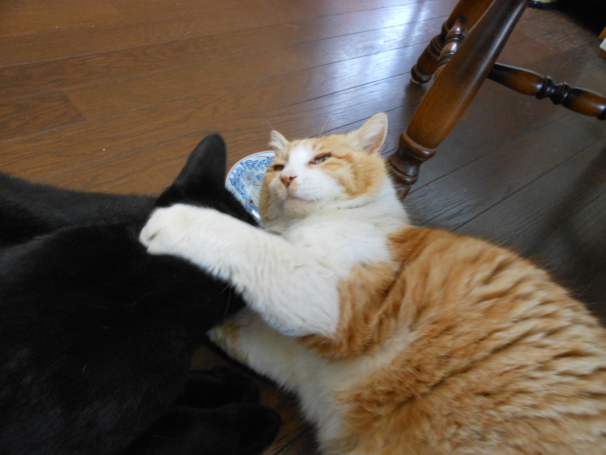 f:id:kaedeya:20200409114134j:plain