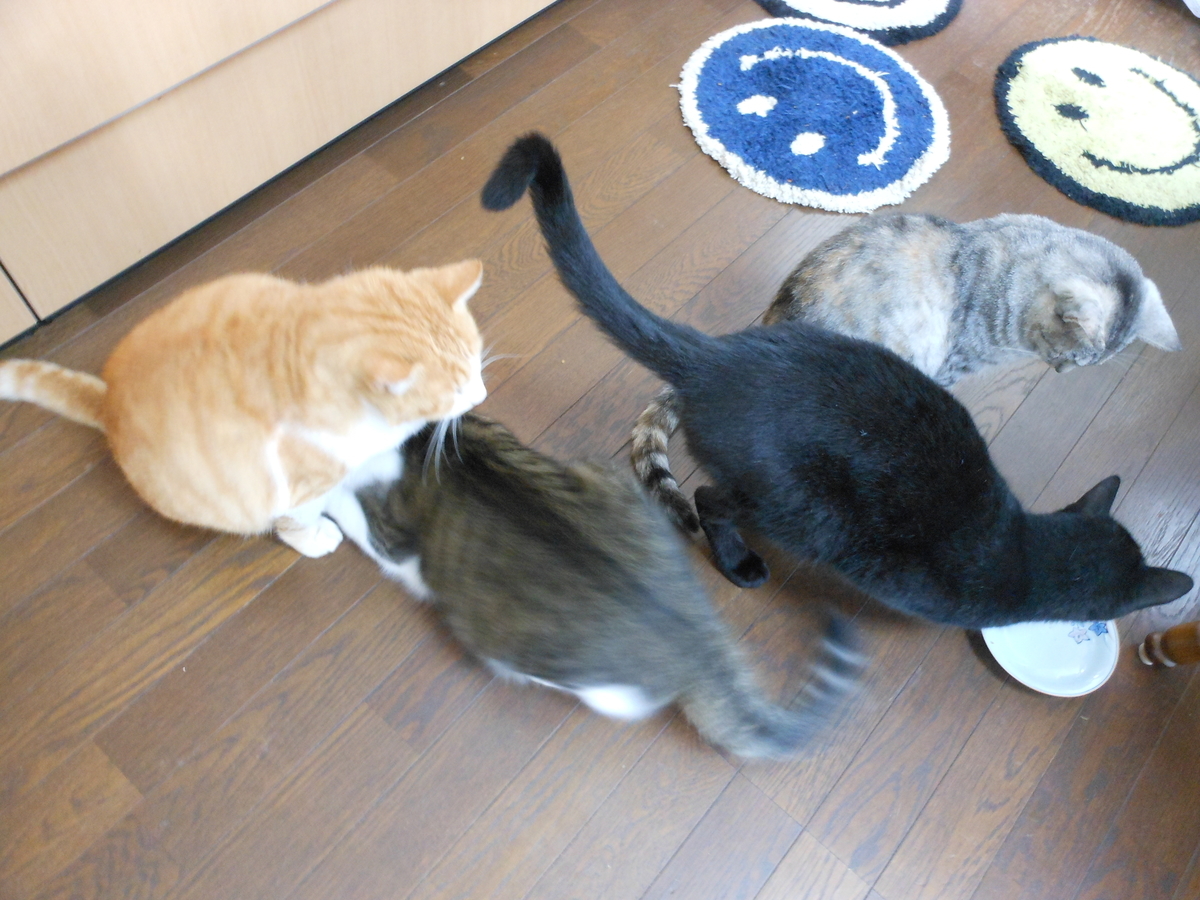 f:id:kaedeya:20201020124133j:plain