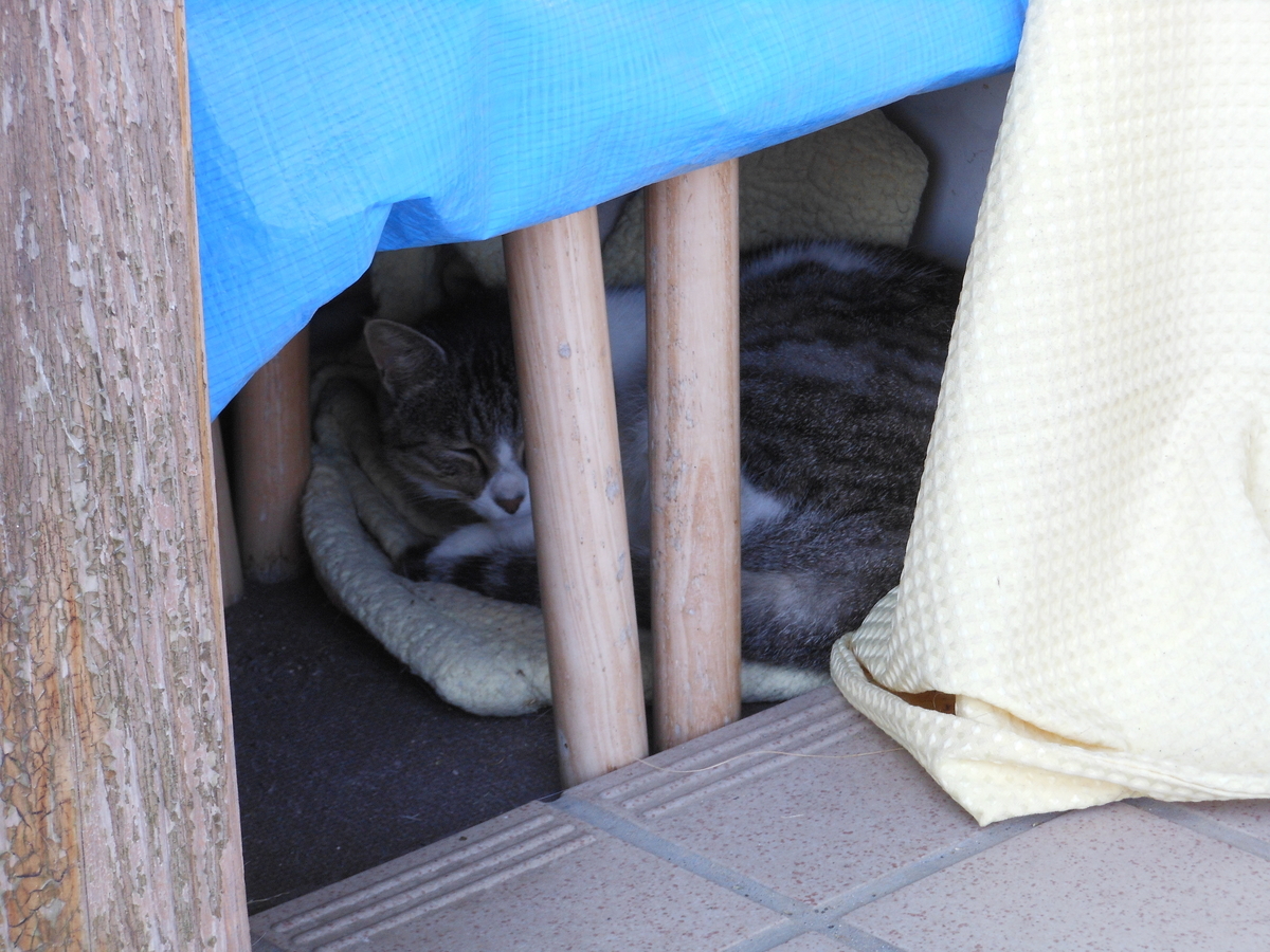 f:id:kaedeya:20201021142357j:plain