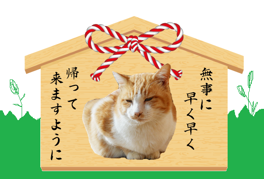 f:id:kaedeya:20201114204205p:plain f:id:kaedeya:20201114204205p:plain