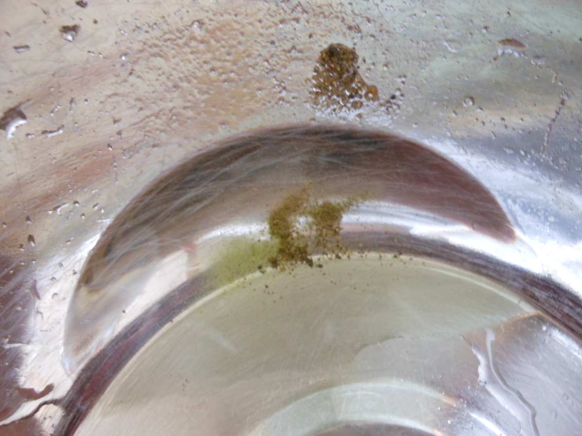 f:id:kaedeya:20210226121117j:plain