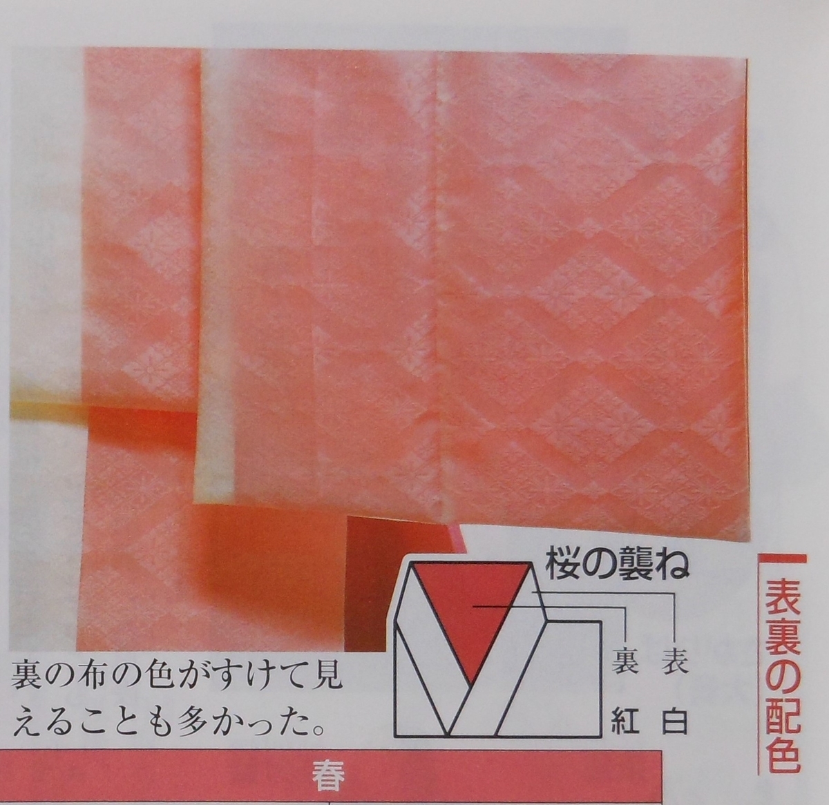 f:id:kaedeya:20210326161826j:plain