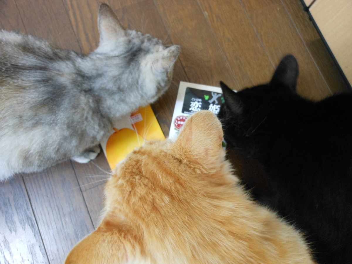 f:id:kaedeya:20210525144135j:plain