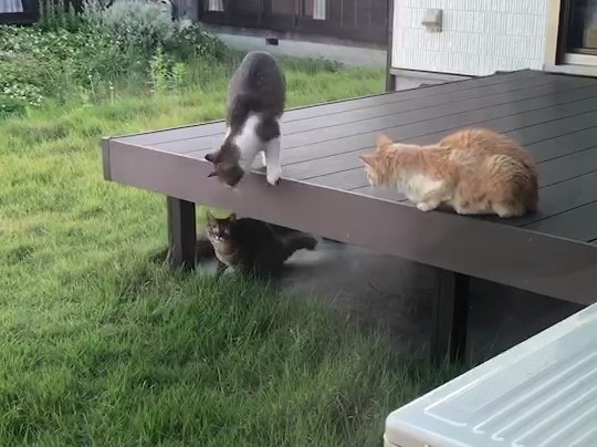 f:id:kaedeya:20210530202103j:plain