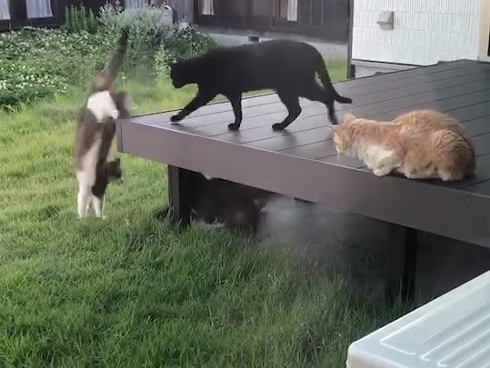 f:id:kaedeya:20210530202550j:plain