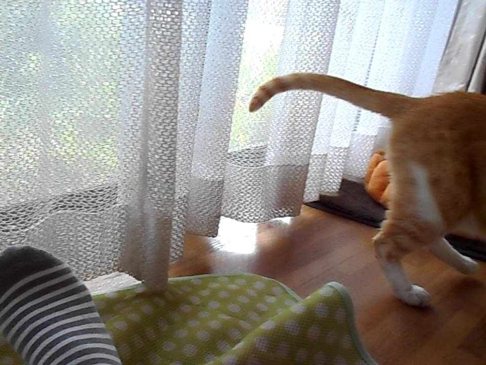 f:id:kaedeya:20210728210955j:plain