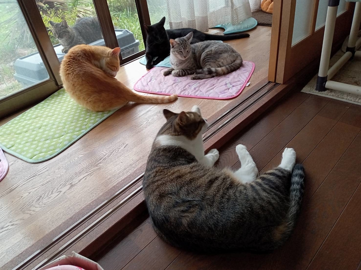 f:id:kaedeya:20210923093047j:plain