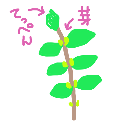 f:id:kaedeya:20211117174222p:plain