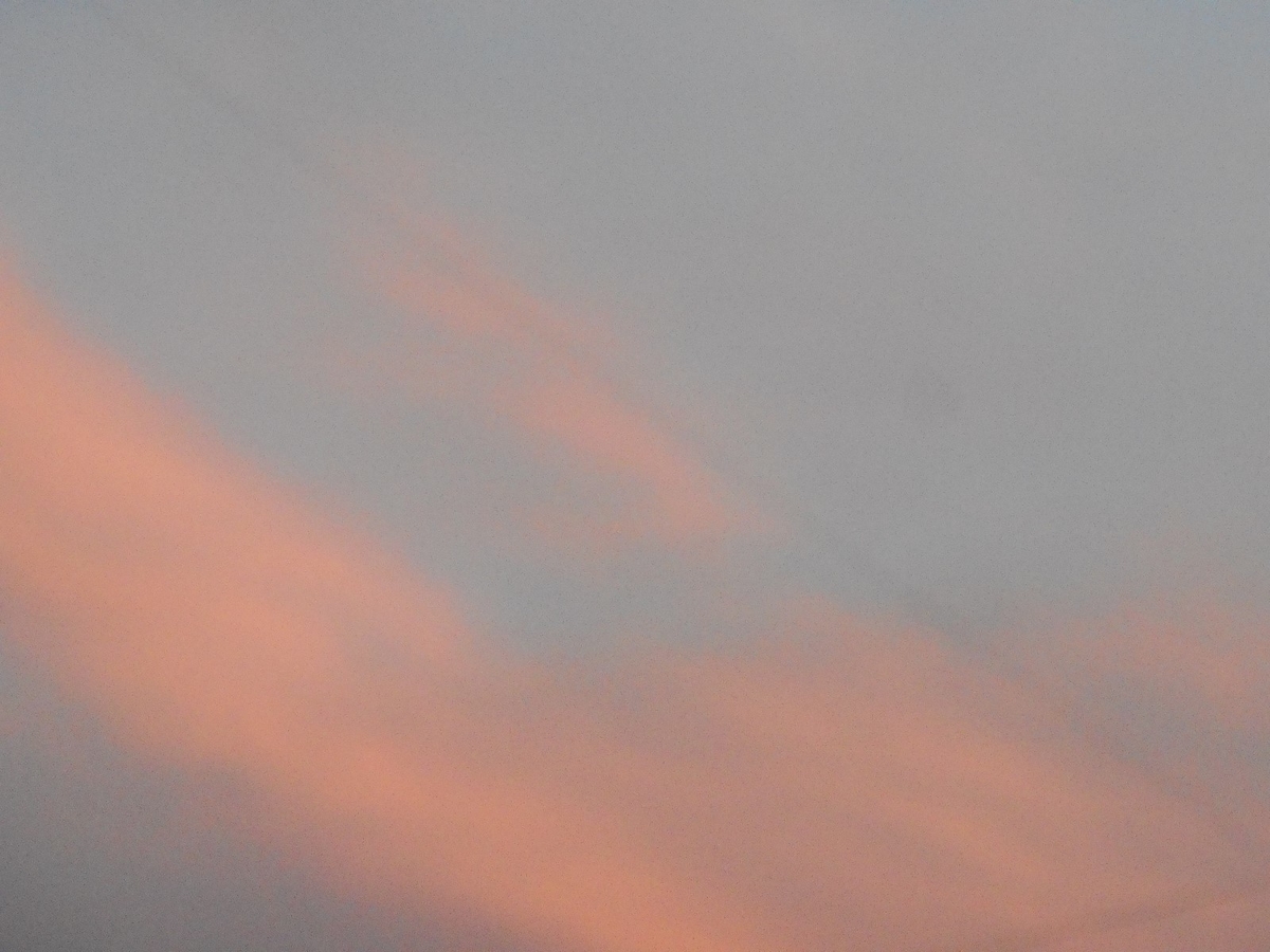 f:id:kaedeya:20211120122141j:plain