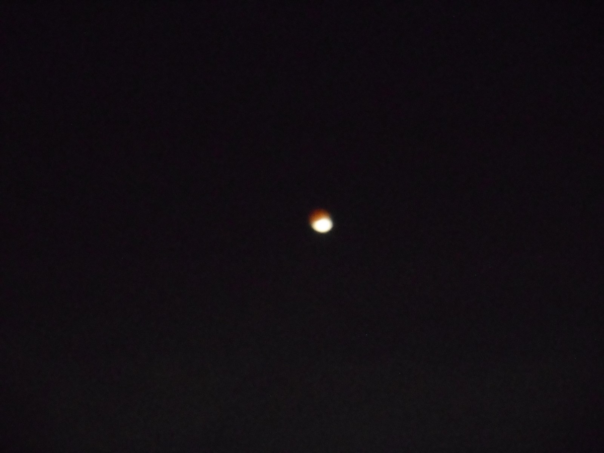 f:id:kaedeya:20211120122331j:plain