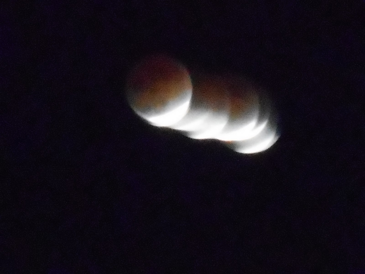 f:id:kaedeya:20211120122541j:plain