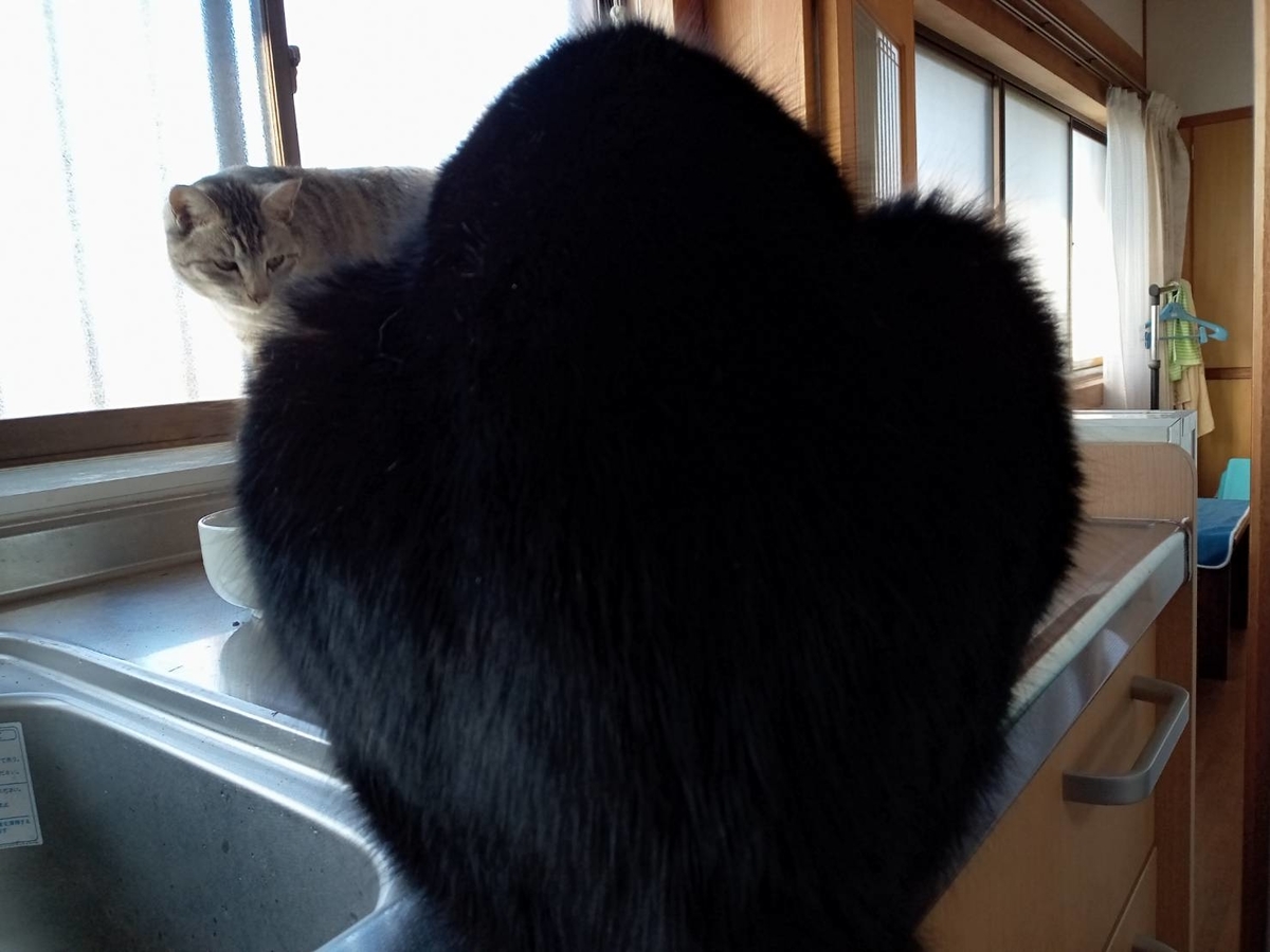 f:id:kaedeya:20220104142439j:plain