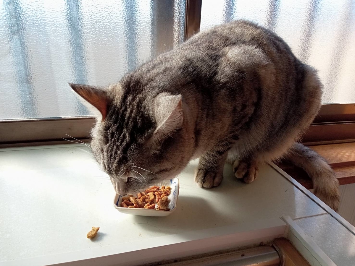 f:id:kaedeya:20220104143810j:plain