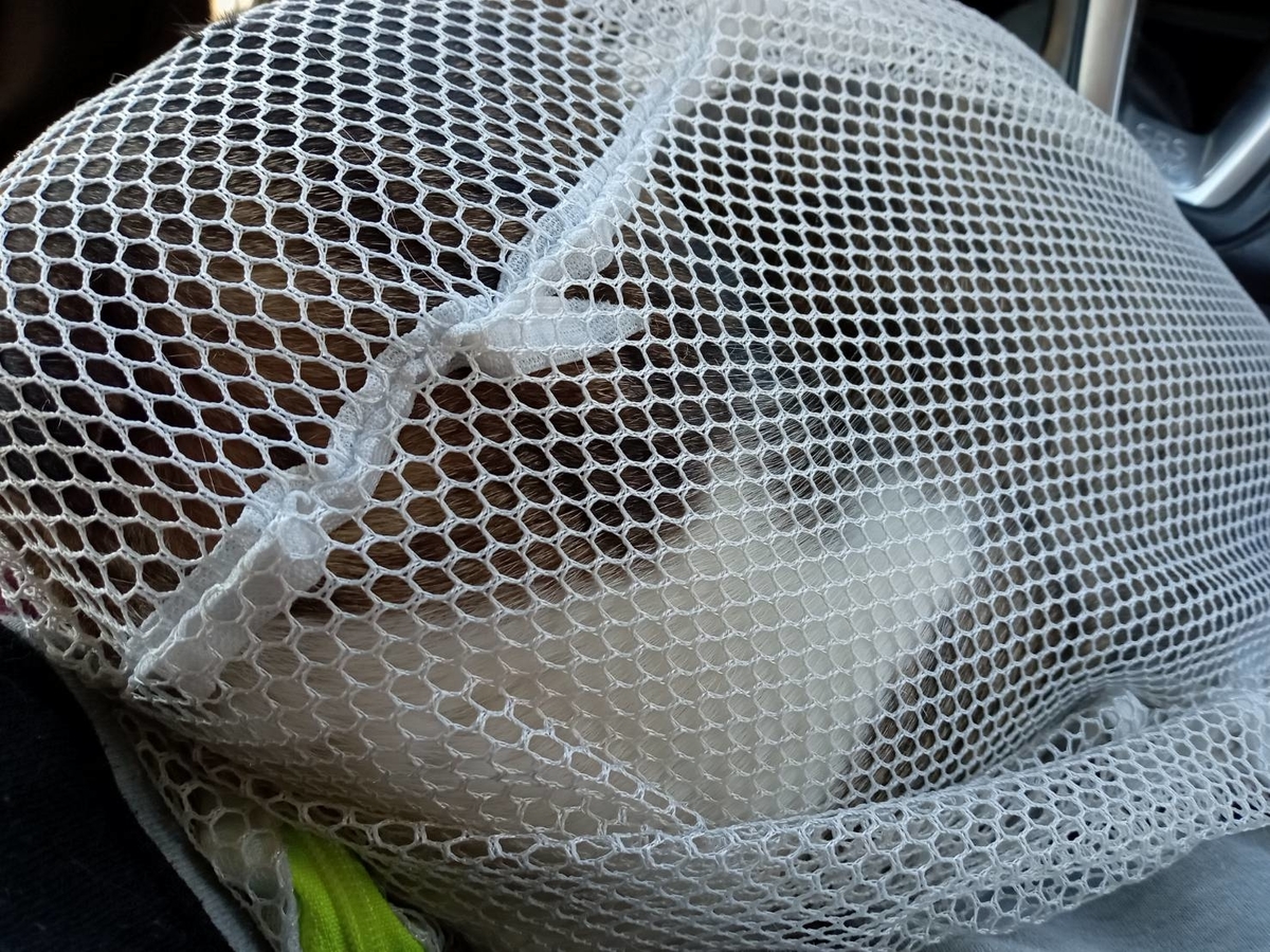 f:id:kaedeya:20220104143947j:plain