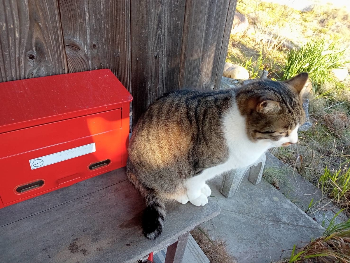 f:id:kaedeya:20220104150709j:plain