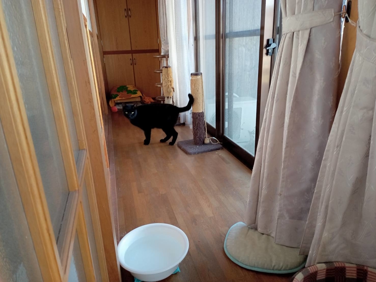 f:id:kaedeya:20220104151536j:plain