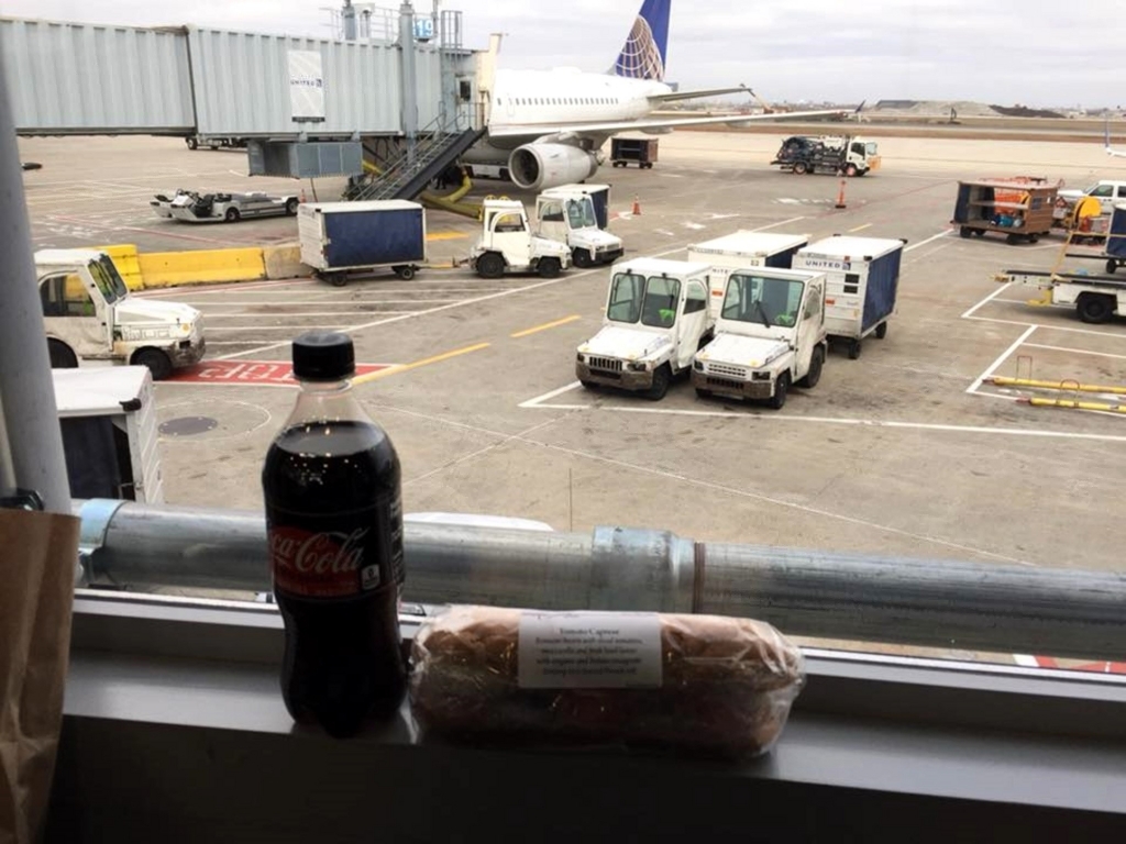 搭乗記 シカゴ オヘア空港ユナイテッドアメリカ国内線から成田帰国便へ搭乗 Sfc修行番外編３ 飛行機苦手な陸マイラーサラリーマン