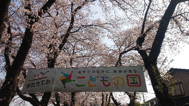 こどもの国広場