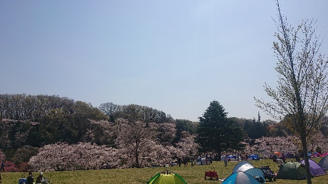こどもの国広場
