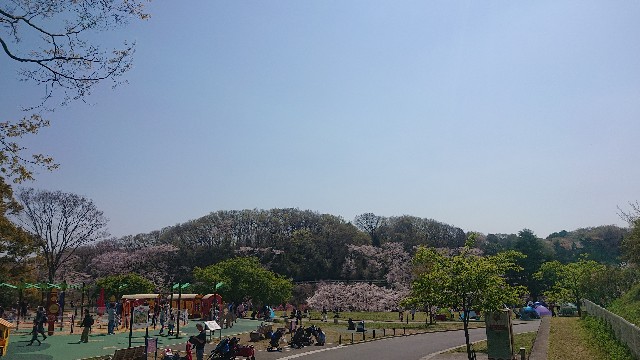 こどもの国ベビーカー