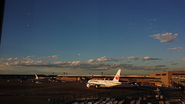 成田空港JAL