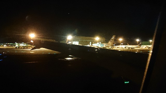 ana_hawaii_a3802号機_フライングホヌ_kai