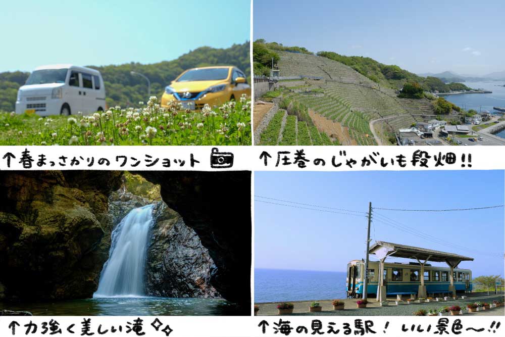 道で見かけたかわいいものたち