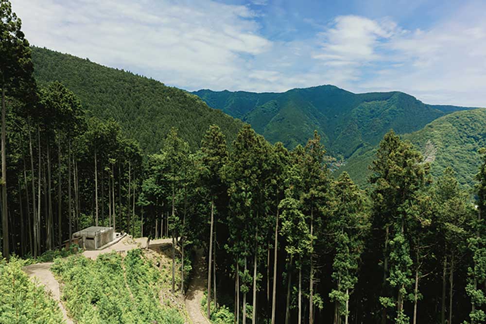 MOKKI NO MORIの風景
