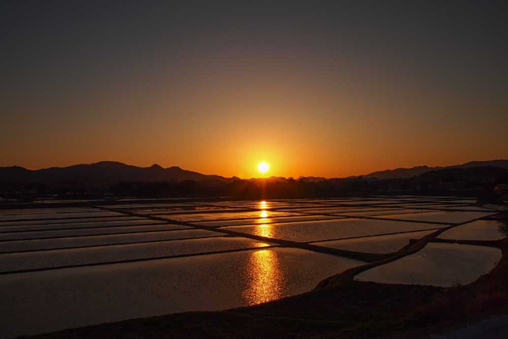 棚田の絶景