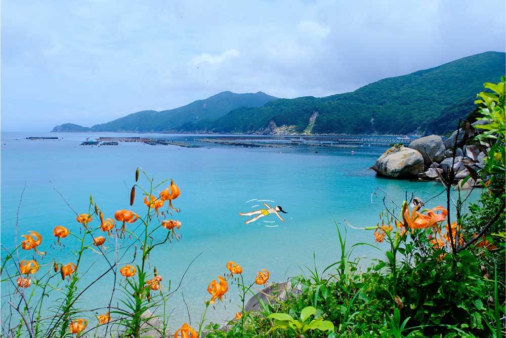 白浜海岸の景色