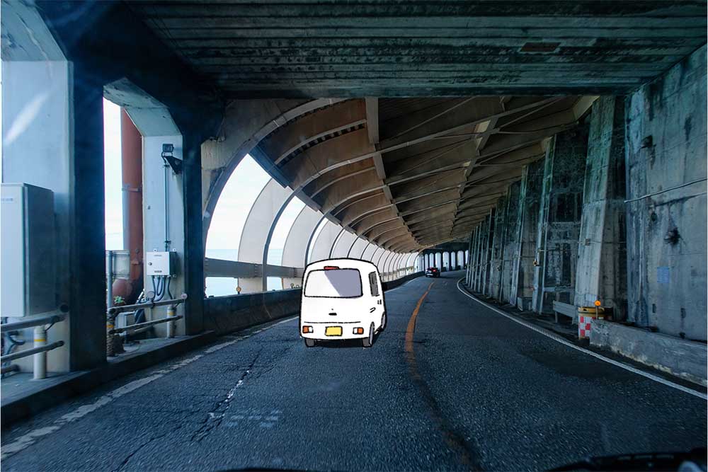 覆道を走る白くま