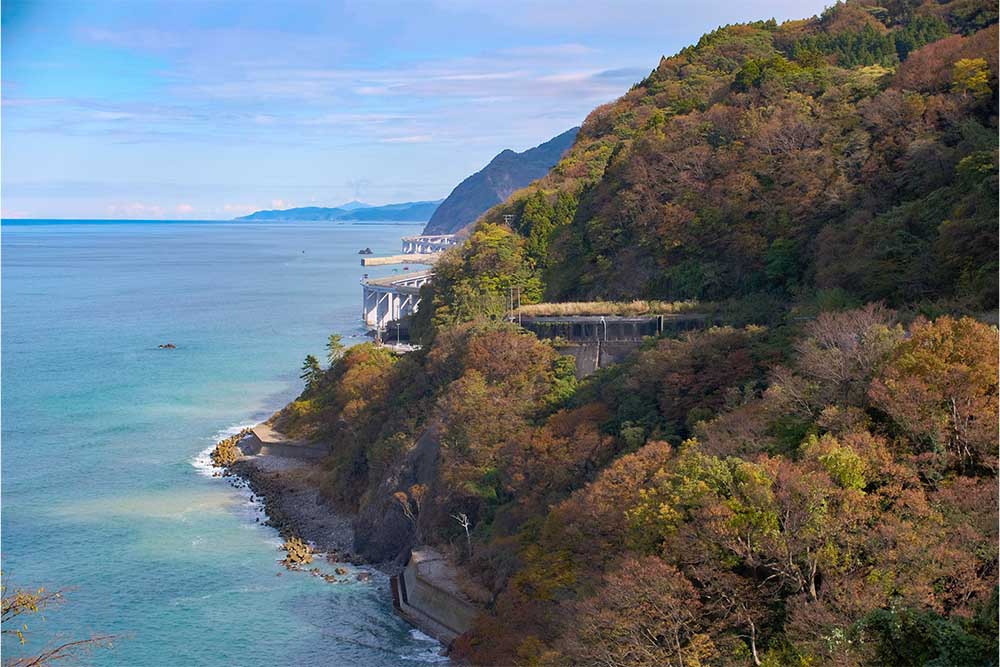 大自然と一体化している道路