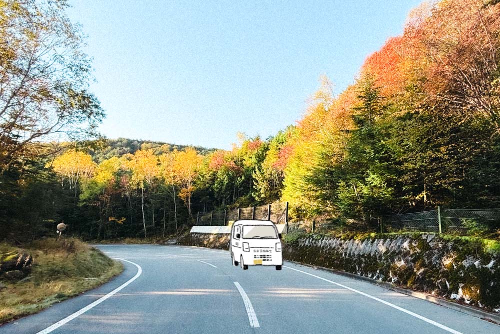 紅葉に染まる木々の間を走る白くま