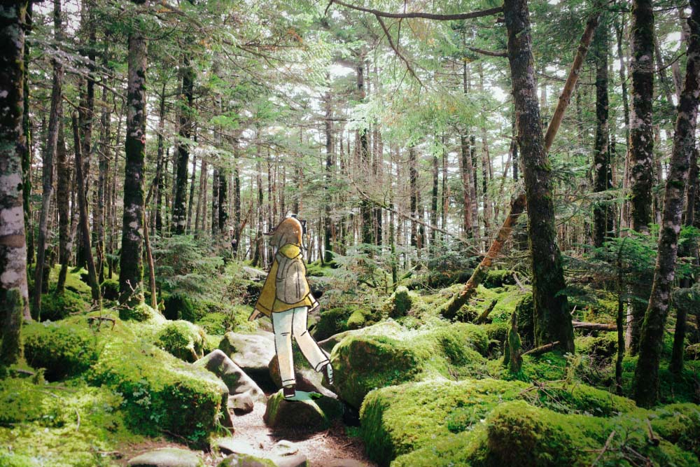 苔むした登山道を進んでいくいとうさん