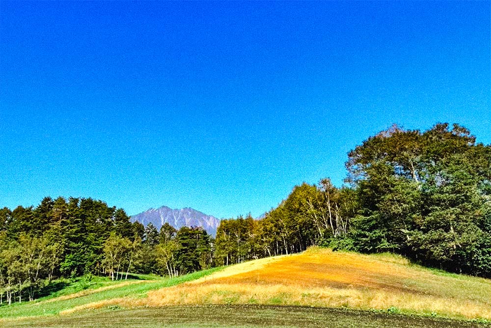 朝の中山高原キャンプ場の景色