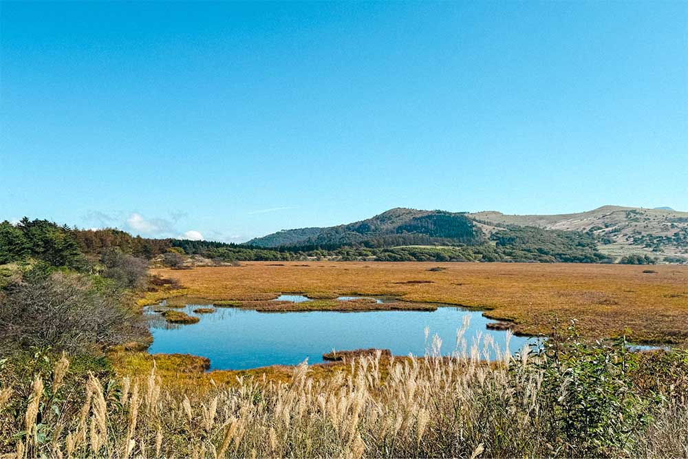 八島ヶ原湿原の水面
