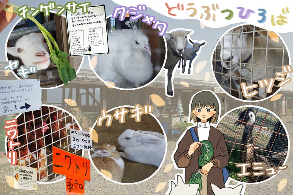 産直市場グリーンファームで出会った動物たち