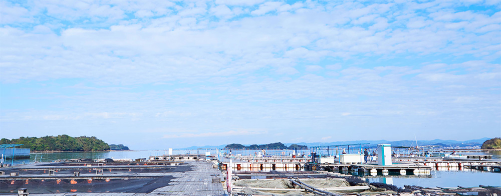 RVパーク とれとれ市場 南紀白浜の敷地内にある釣り堀