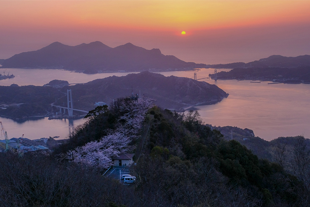 三千本桜が有名な愛媛県の「積善山(せきぜんさん)」