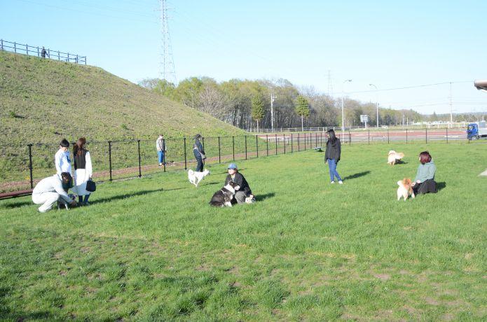 なつぞら公園ドッグランの外観