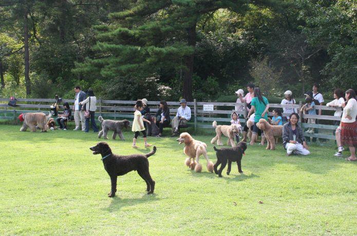 道の駅 みやま公園のドッグラン
