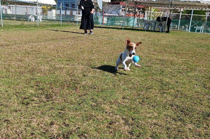道の駅 宮地岳かかしの里にあるドッグランみやじだけ