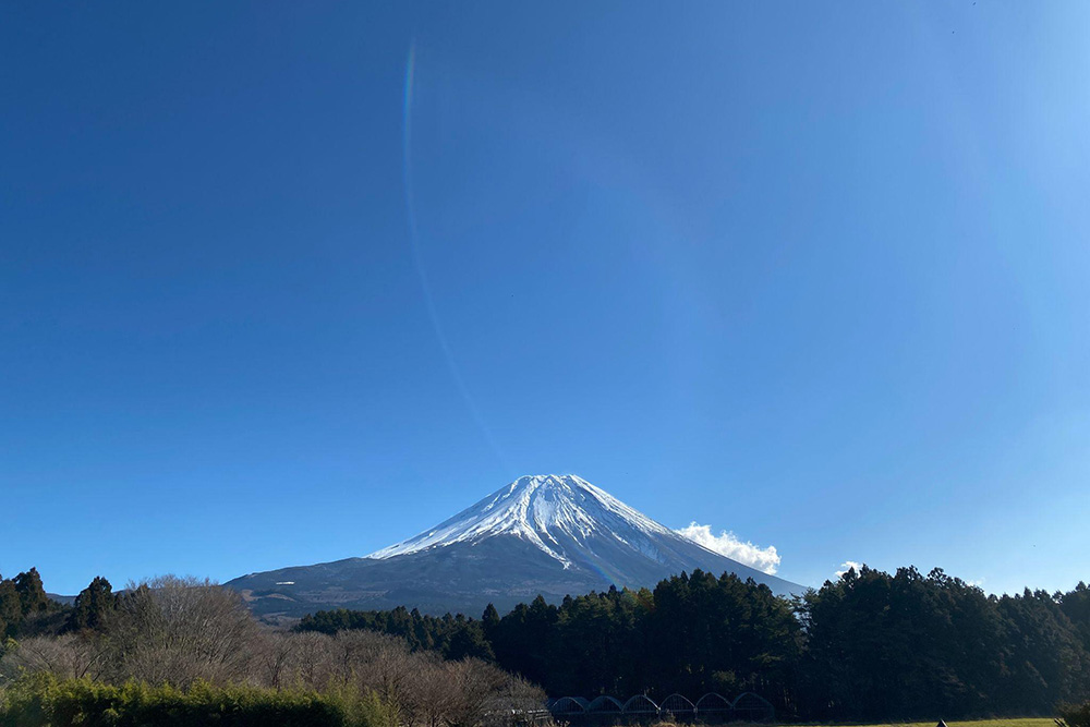 富士山