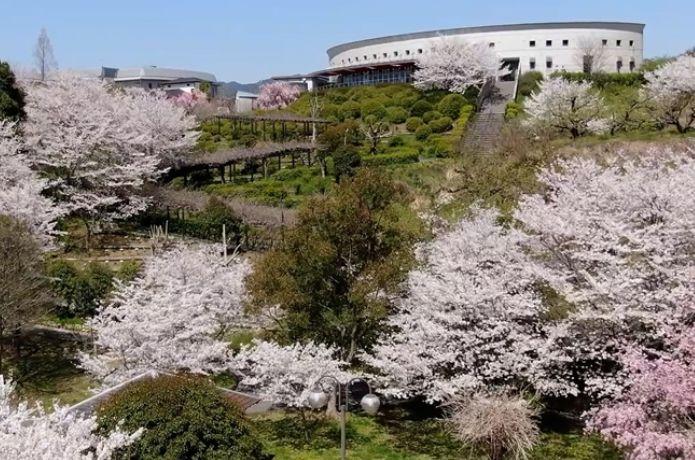 道の駅 青洲の里の外観